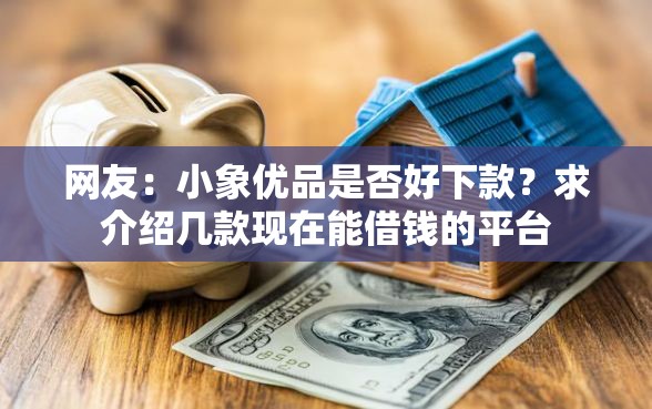 网友:小象优品是否好下款?求介绍几款现在能借钱的平台 网友:小象优品是否好下款?求介绍几款现在能借钱的平台
