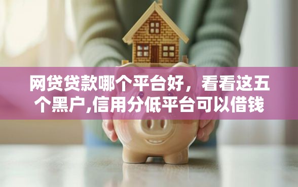 网贷贷款哪个平台好，看看这五个黑户,信用分低平台可以借钱