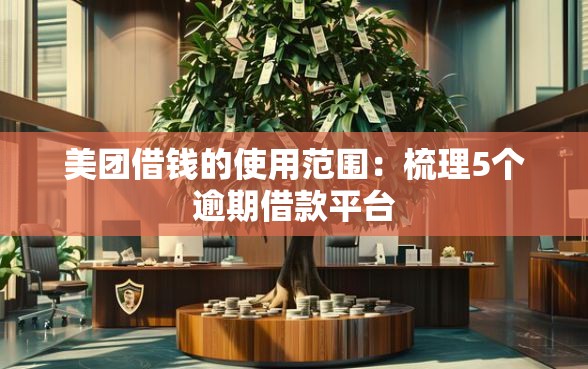 美团借钱的使用范围：梳理5个逾期借款平台