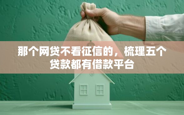 那个网贷不看征信的，梳理五个贷款都有借款平台