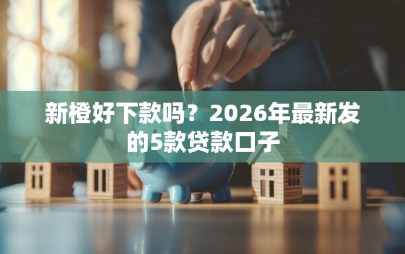 新橙好下款吗？2026年最新发的5款贷款口子