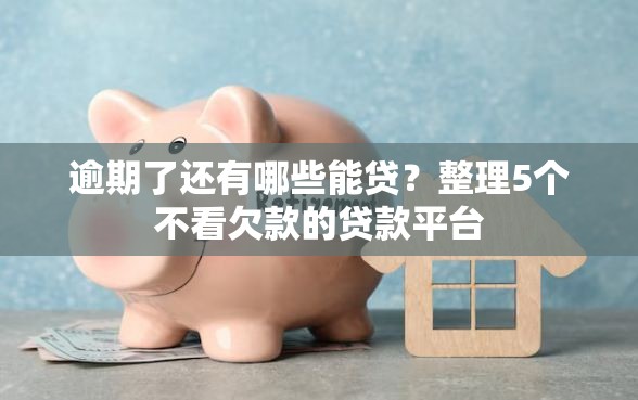 逾期了还有哪些能贷？整理5个不看欠款的贷款平台