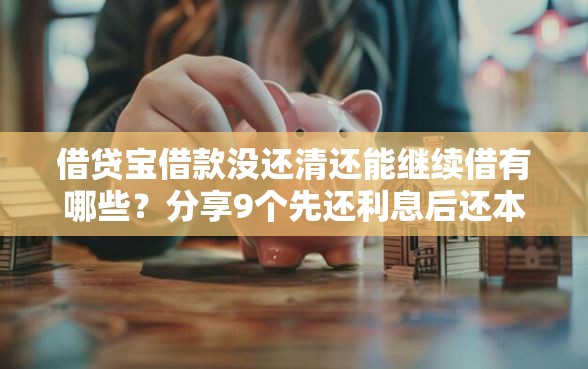 借贷宝借款没还清还能继续借有哪些？分享9个先还利息后还本金的贷款平台