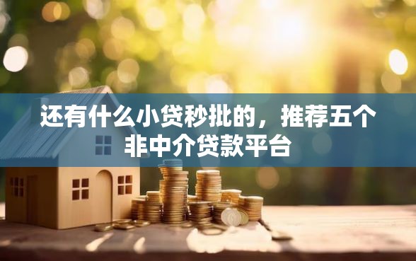 还有什么小贷秒批的，推荐五个非中介贷款平台