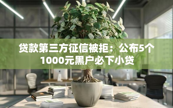 贷款第三方征信被拒：公布5个1000元黑户必下小贷