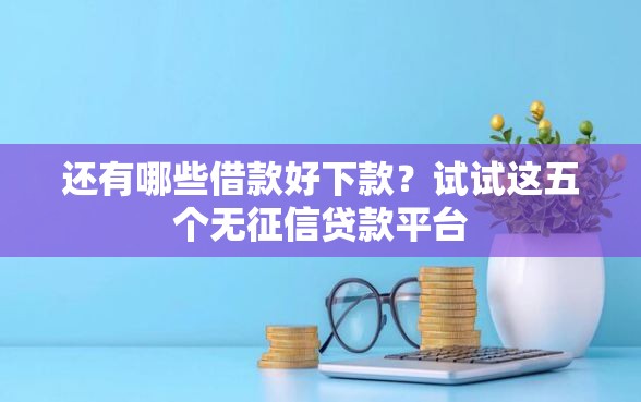 还有哪些借款好下款？试试这五个无征信贷款平台