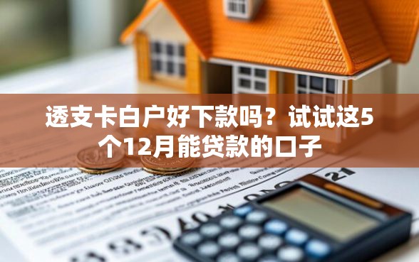 透支卡白户好下款吗？试试这5个12月能贷款的口子
