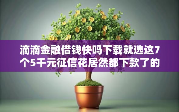 滴滴金融借钱快吗下载就选这7个5千元征信花居然都下款了的软件