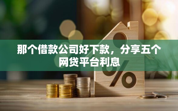 那个借款公司好下款，分享五个网贷平台利息