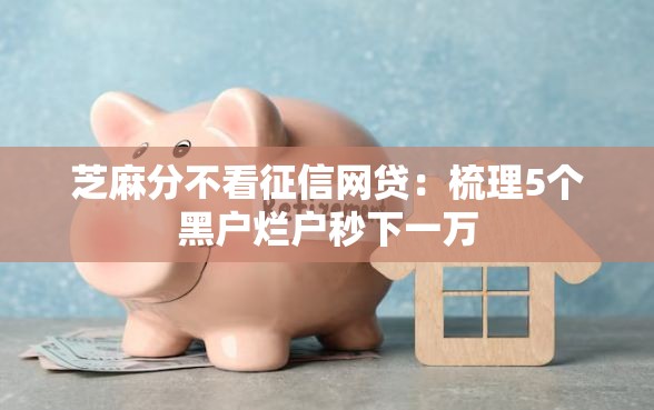 芝麻分不看征信网贷：梳理5个黑户烂户秒下一万