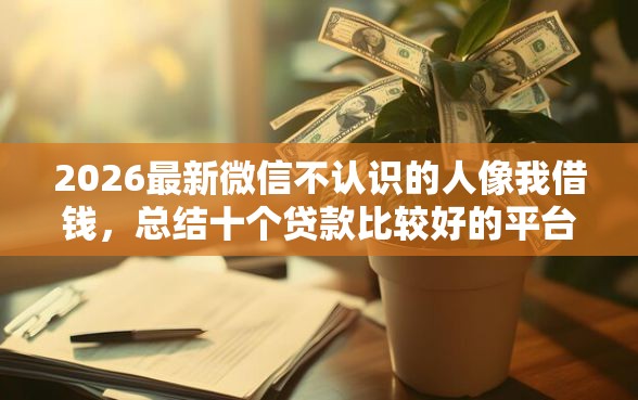 2026最新微信不认识的人像我借钱，总结十个贷款比较好的平台！