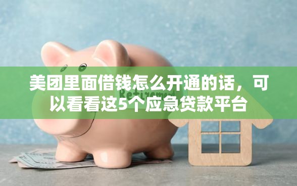 美团里面借钱怎么开通的话，可以看看这5个应急贷款平台