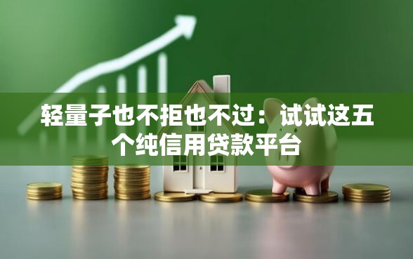 轻量子也不拒也不过：试试这五个纯信用贷款平台