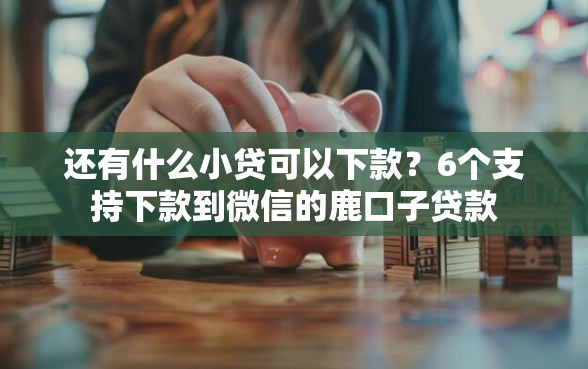 还有什么小贷可以下款？6个支持下款到微信的鹿口子贷款