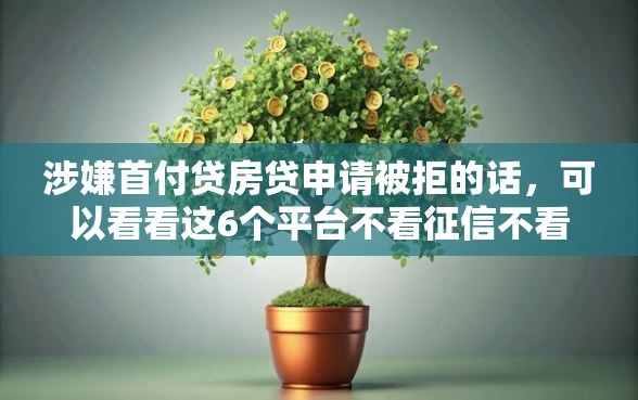 涉嫌首付贷房贷申请被拒的话，可以看看这6个平台不看征信不看负债可以贷到钱