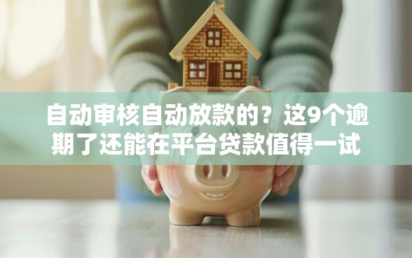 自动审核自动放款的？这9个逾期了还能在平台贷款值得一试