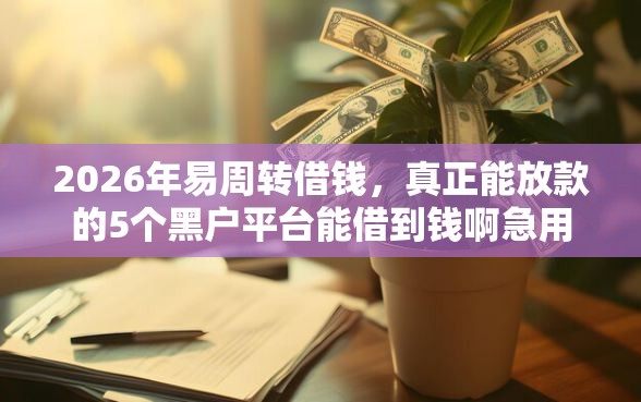 2026年易周转借钱，真正能放款的5个黑户平台能借到钱啊急用推荐