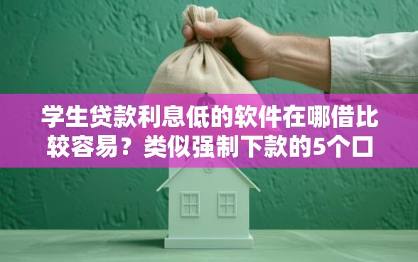 学生贷款利息低的软件在哪借比较容易？类似强制下款的5个口子参考