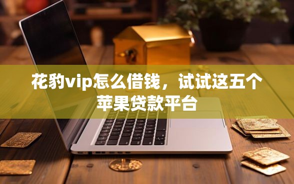 花豹vip怎么借钱，试试这五个苹果贷款平台