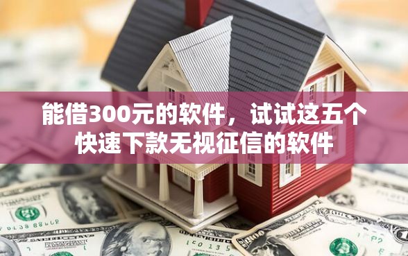 能借300元的软件，试试这五个快速下款无视征信的软件