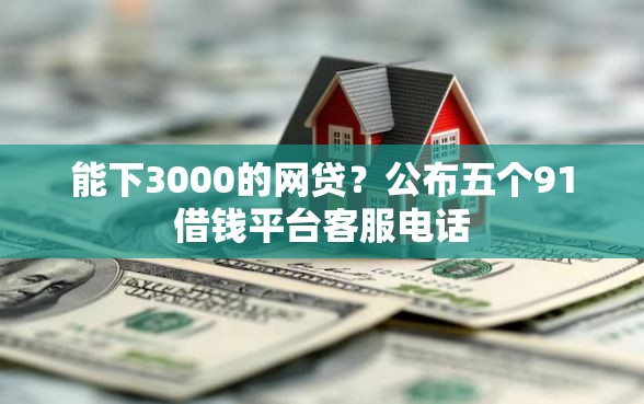 能下3000的网贷？公布五个91借钱平台客服电话