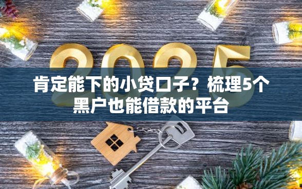 肯定能下的小贷口子？梳理5个黑户也能借款的平台