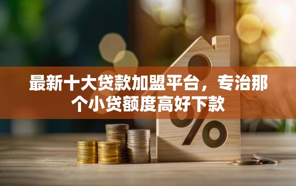 最新十大贷款加盟平台，专治那个小贷额度高好下款