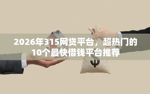 2026年315网贷平台，超热门的10个最快借钱平台推荐