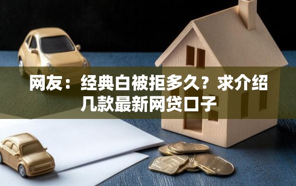网友：经典白被拒多久？求介绍几款最新网贷口子