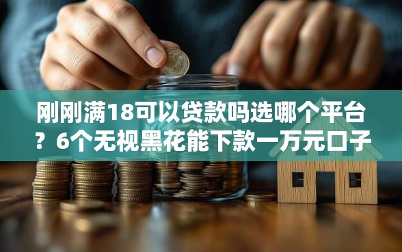 刚刚满18可以贷款吗选哪个平台？6个无视黑花能下款一万元口子推荐