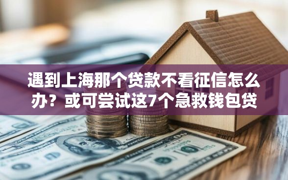 遇到上海那个贷款不看征信怎么办？或可尝试这7个急救钱包贷款软件黑户好下款