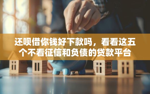 还呗借你钱好下款吗，看看这五个不看征信和负债的贷款平台