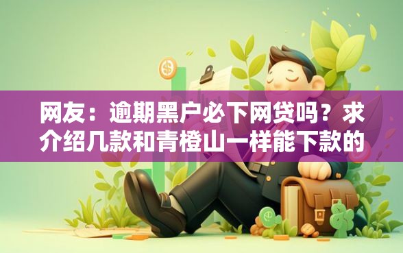 网友：逾期黑户必下网贷吗？求介绍几款和青橙山一样能下款的口子