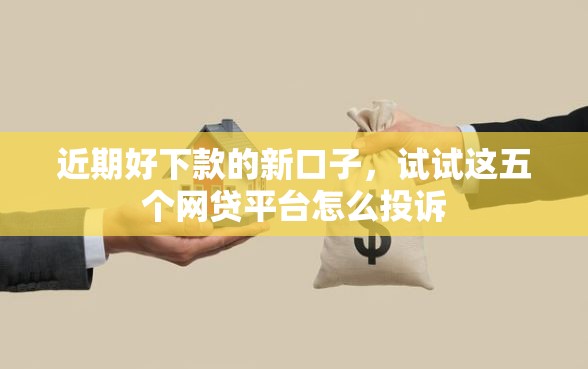 近期好下款的新口子，试试这五个网贷平台怎么投诉