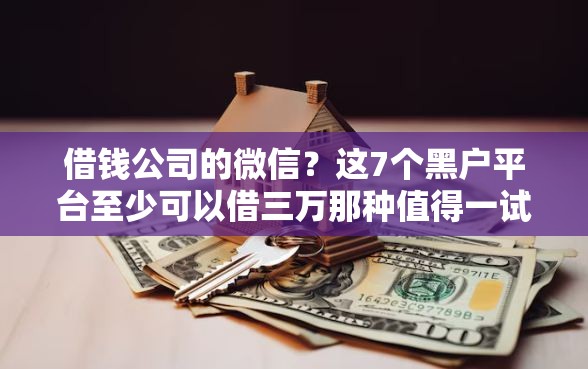 借钱公司的微信？这7个黑户平台至少可以借三万那种值得一试