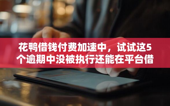 花鸭借钱付费加速中，试试这5个逾期中没被执行还能在平台借钱