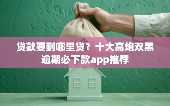 贷款要到哪里贷？十大高炮双黑逾期必下款app推荐