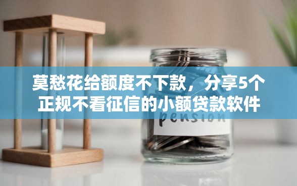 莫愁花给额度不下款，分享5个正规不看征信的小额贷款软件