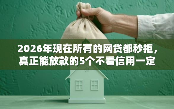 2026年现在所有的网贷都秒拒，真正能放款的5个不看信用一定能下款的贷款平台推荐