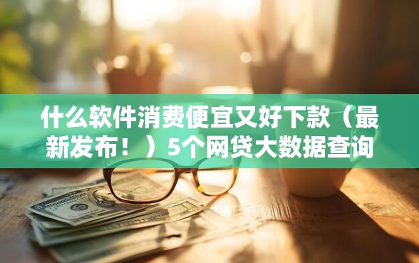什么软件消费便宜又好下款（最新发布！）5个网贷大数据查询平台