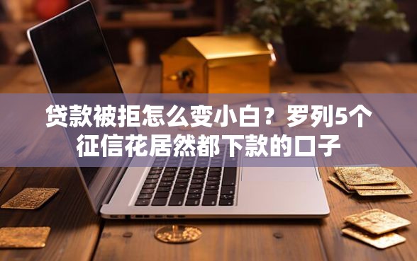 贷款被拒怎么变小白?罗列5个征信花居然都下款的口子 贷款被拒怎么变小白?罗列5个征信花居然都下款的口子