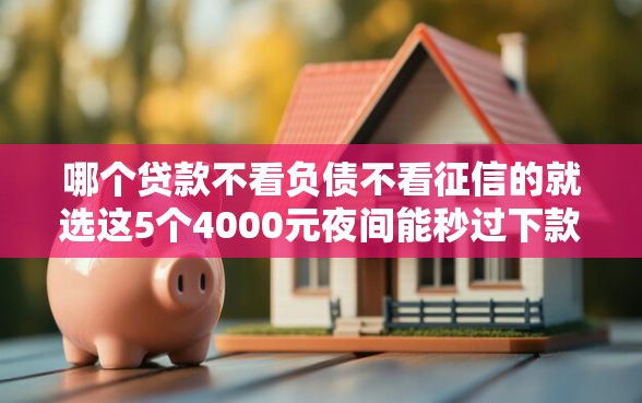 哪个贷款不看负债不看征信的就选这5个4000元夜间能秒过下款的口子
