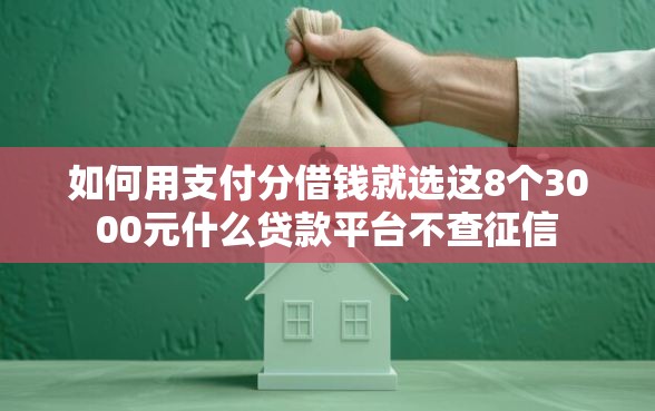 如何用支付分借钱就选这8个3000元什么贷款平台不查征信