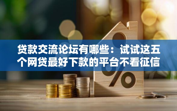 贷款交流论坛有哪些：试试这五个网贷最好下款的平台不看征信