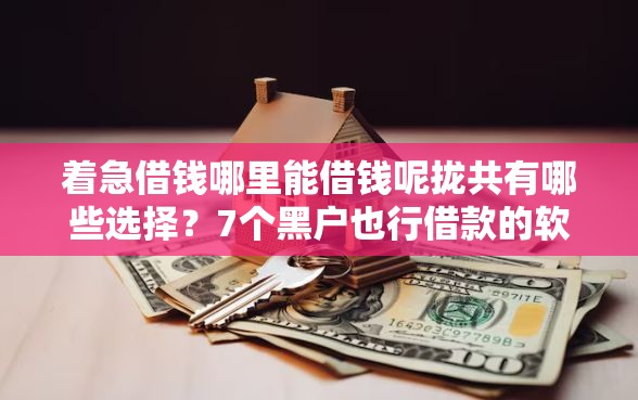 着急借钱哪里能借钱呢拢共有哪些选择？7个黑户也行借款的软件详解