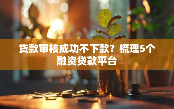 贷款审核成功不下款？梳理5个融资贷款平台
