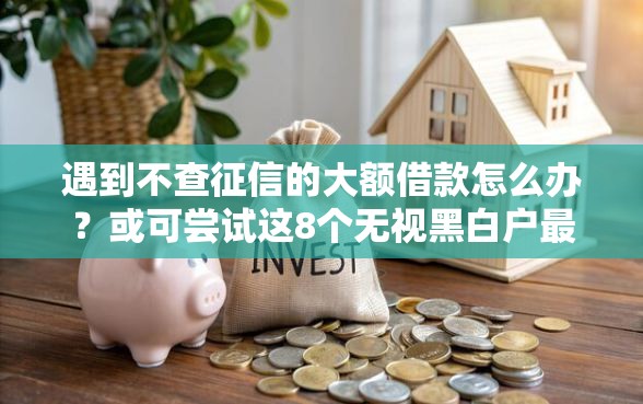 遇到不查征信的大额借款怎么办？或可尝试这8个无视黑白户最新口子