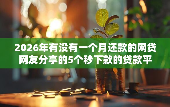 2026年有没有一个月还款的网贷网友分享的5个秒下款的贷款平台我觉得不错！