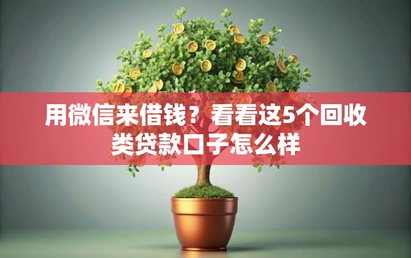 用微信来借钱？看看这5个回收类贷款口子怎么样