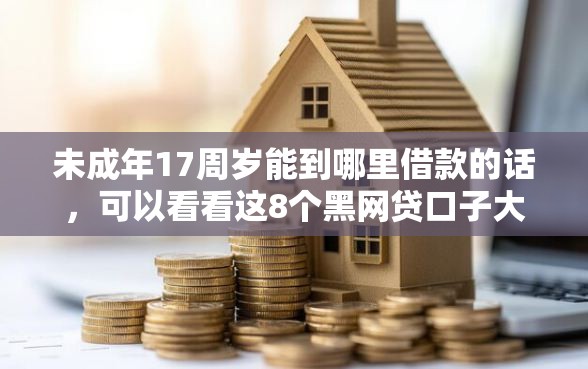 未成年17周岁能到哪里借款的话，可以看看这8个黑网贷口子大全